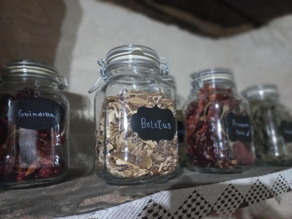 Santibanez el BajoCasa Rural La Moraquintana别墅 外观 照片
